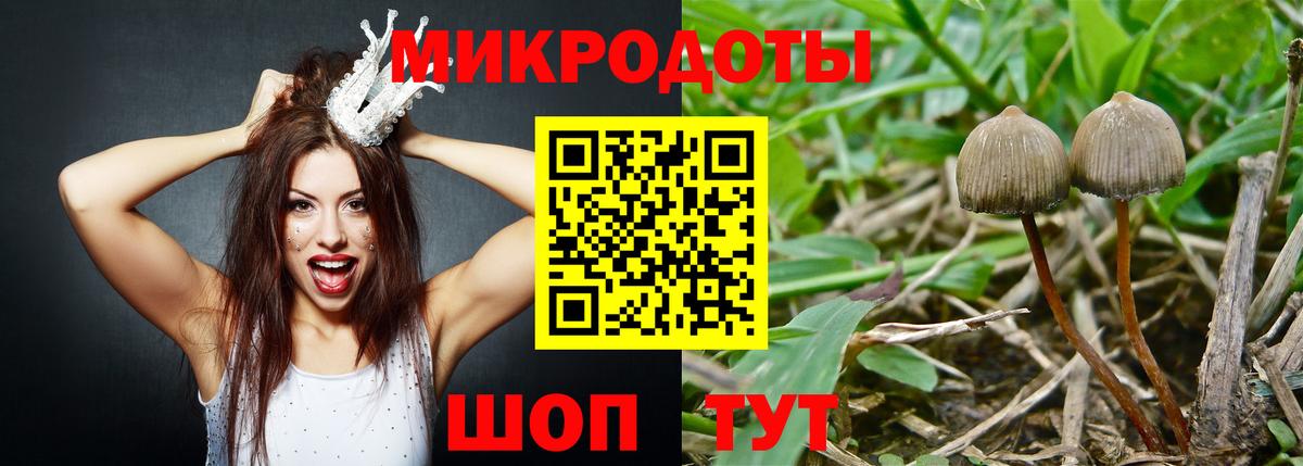 Псилоцибиновые грибы ЛСД Липецк
